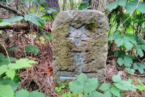Трахтемировский полуостров, экскурсия